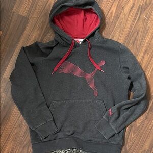 Puma Men’s Dark Gray Hoodie with Red Logo & Lined Hood